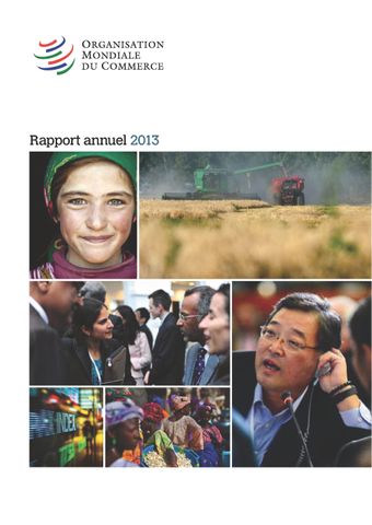 image of Rapport Annuel 2013