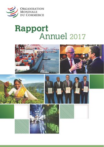 image of Rapport Annuel 2017