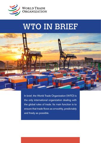 image of WTO in Brief