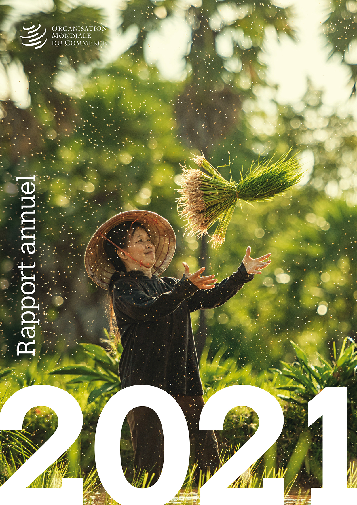 image of Rapport annuel 2021