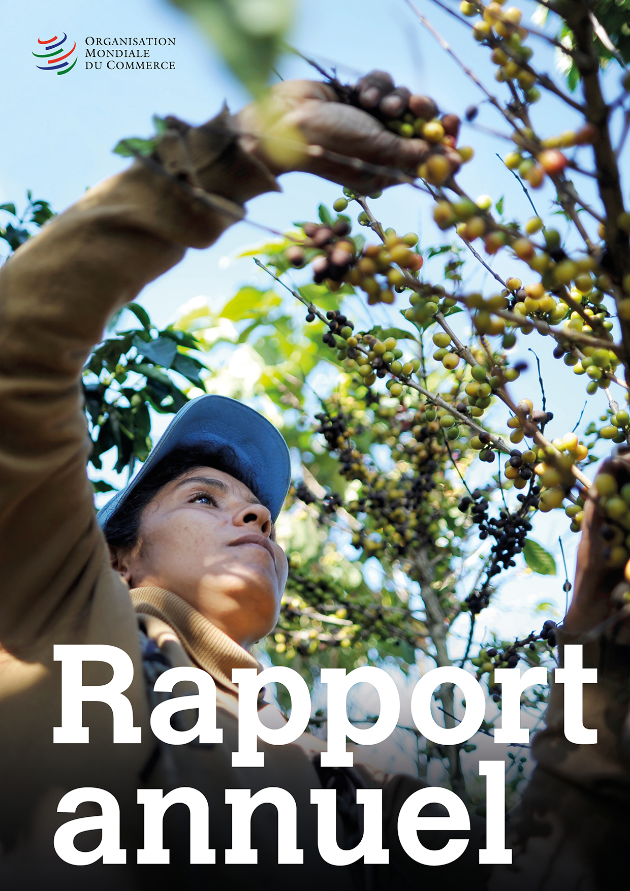 image of Rapport annuel 2022