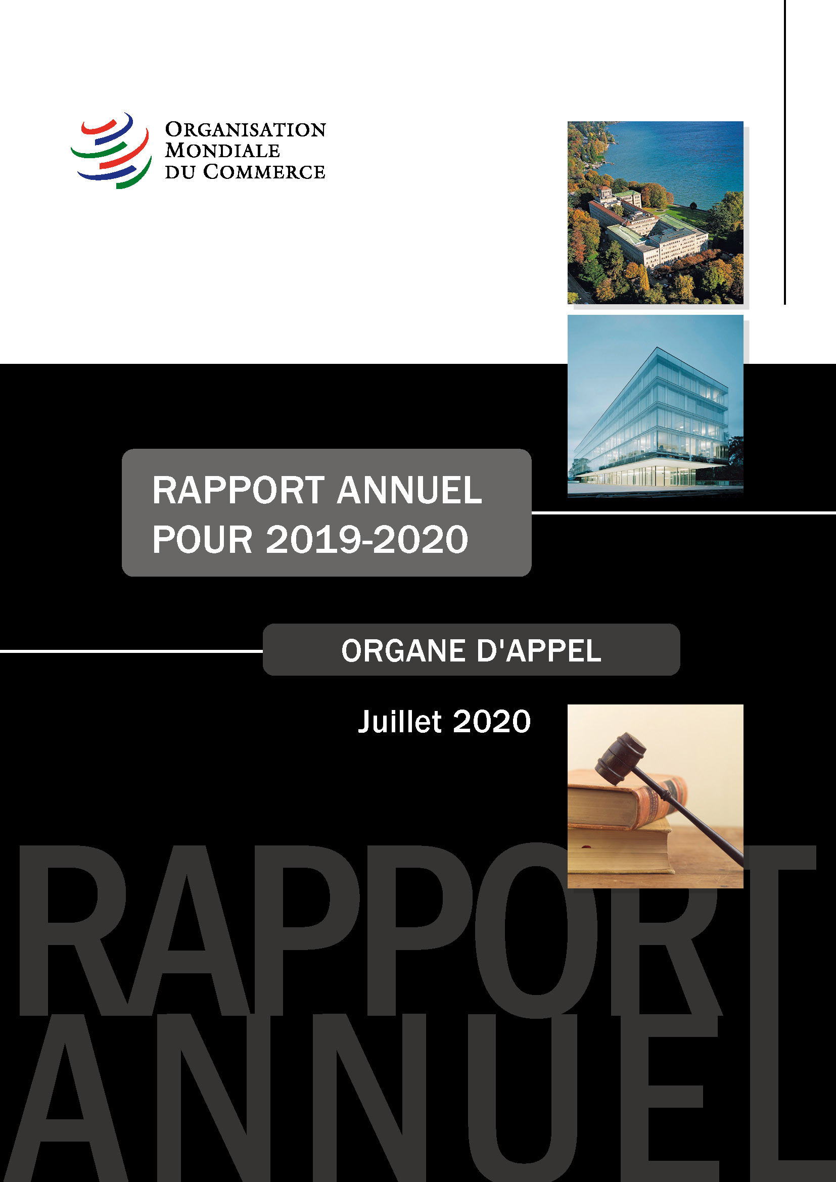 image of Rapport annuel de l’organe d’appel pour 2019-2020