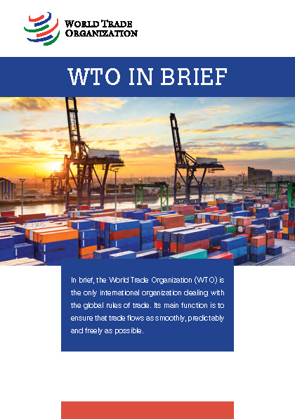 image of WTO in Brief